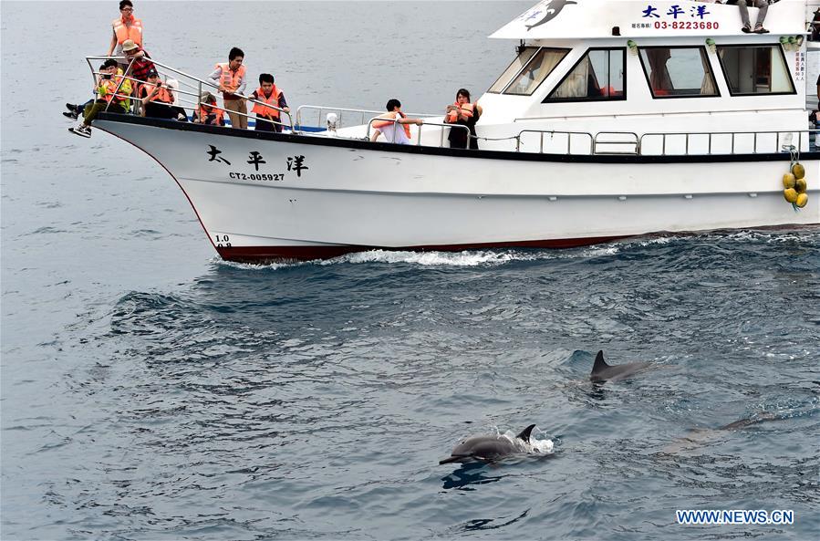 CHINA-HUALIEN-TOURISM-DOPHIN (CN)