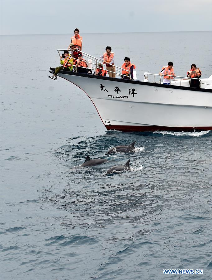 CHINA-HUALIEN-TOURISM-DOPHIN (CN)