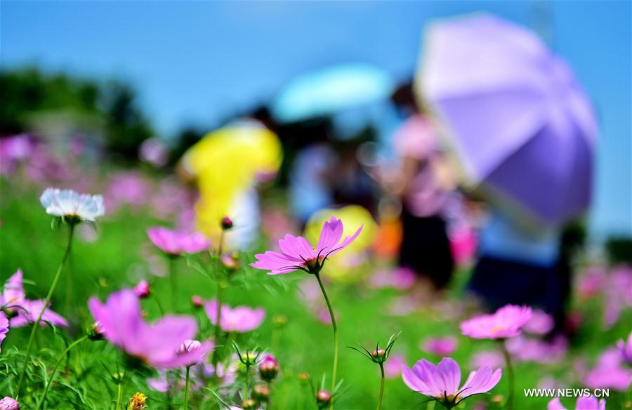 CHINA-DUANWU FESTIVAL-CELEBRATION (CN)