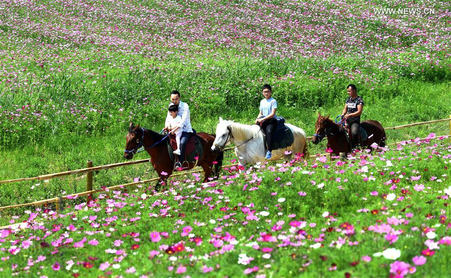 #CHINA-ANHUI-TOURISM-FLOWERS (CN)