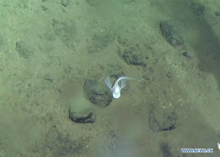 CHINA-SCIENCE-SUBMERSIBLE JIAOLONG-DIVE (CN)