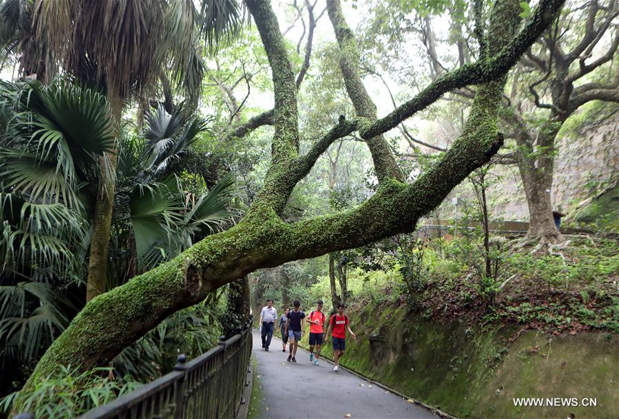 CHINA-HONG KONG-MOUNTAIN PATH-DAILY LIFE (CN)