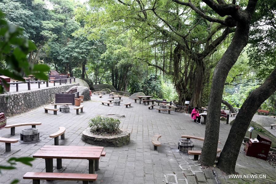 CHINA-HONG KONG-MOUNTAIN PATH-DAILY LIFE (CN)