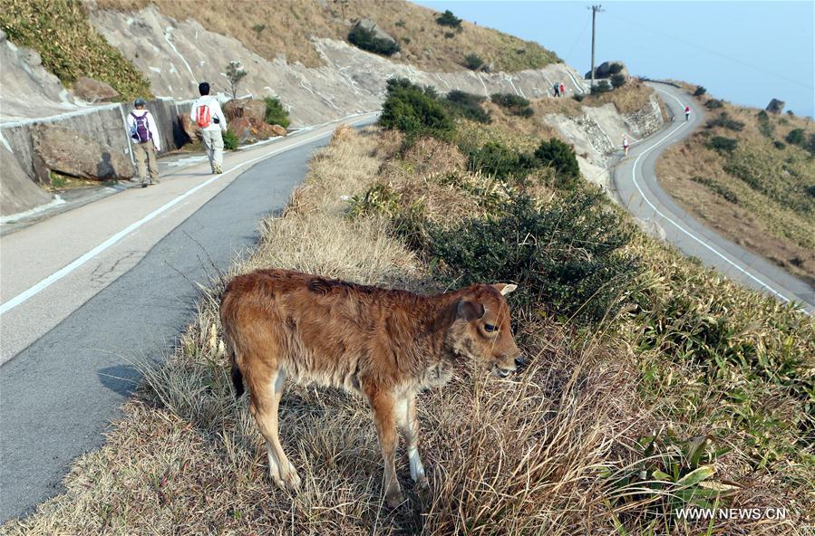 CHINA-HONG KONG-MOUNTAIN PATH-DAILY LIFE (CN)