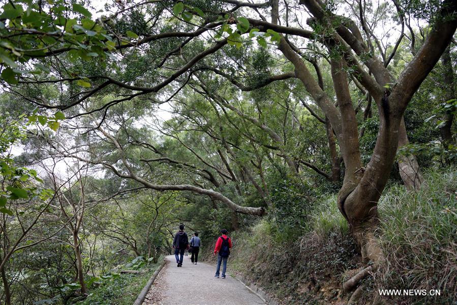 CHINA-HONG KONG-MOUNTAIN PATH-DAILY LIFE (CN)