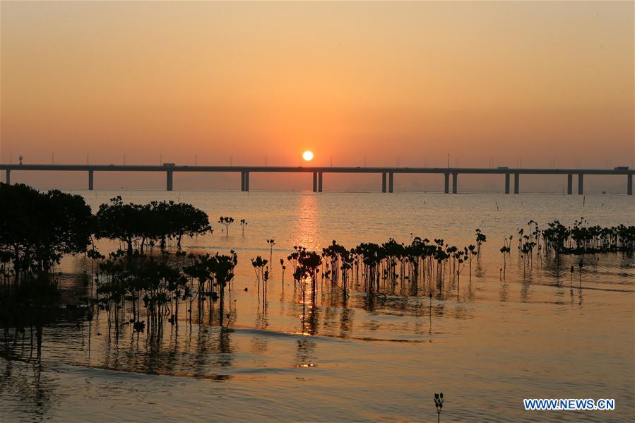 CHINA-HONG KONG-RETURN ANNIVERSARY-ENVIRONMENT (CN)