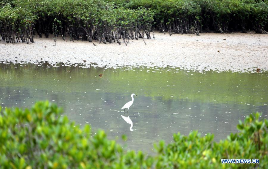 CHINA-HONG KONG-RETURN ANNIVERSARY-ENVIRONMENT (CN)