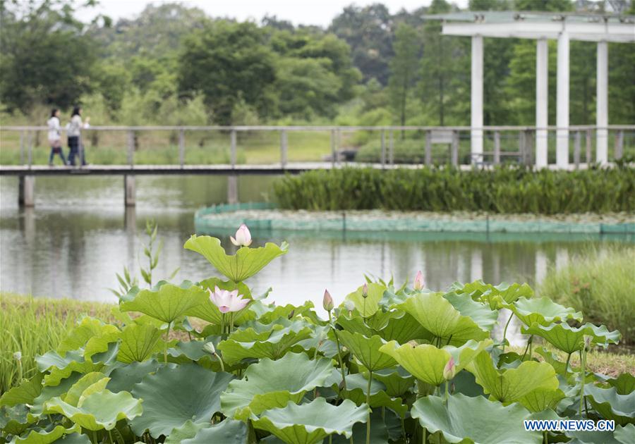 CHINA-HONG KONG-RETURN ANNIVERSARY-ENVIRONMENT (CN)