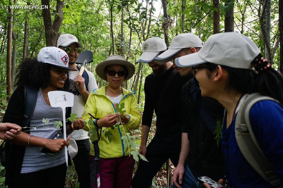 CHINA-NANJING-FOREIGN STUDENT-TRADITIONAL CHINESE MEDICINE (CN)