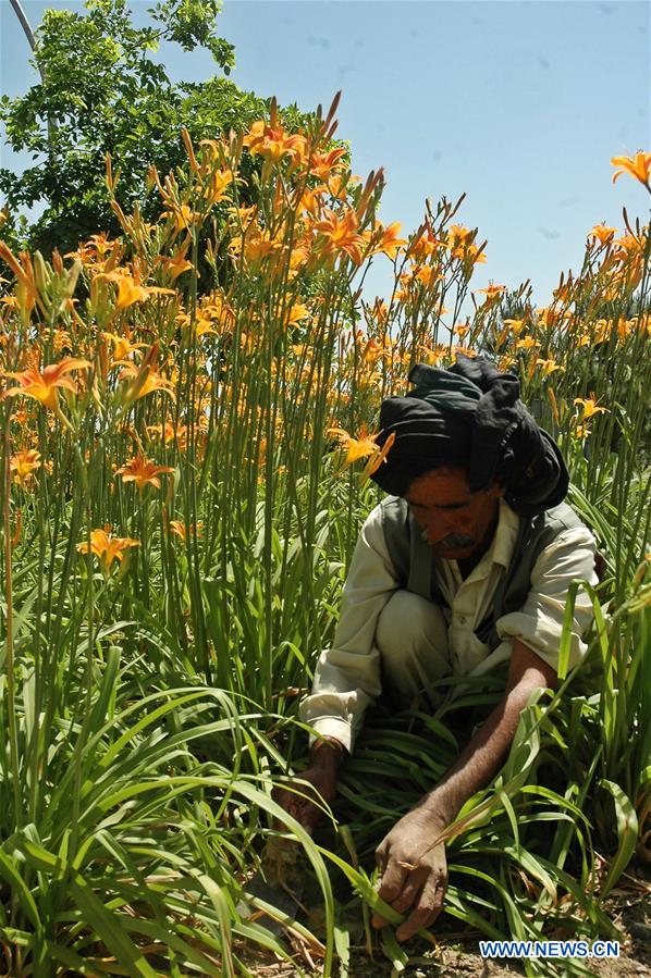 PAKISTAN-ISLAMABAD-WORLD ENVIRONMENT DAY