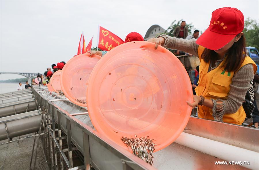 #CHINA-HUNAN-CHANGSHA-FISH FRY-RELEASE (CN*)
