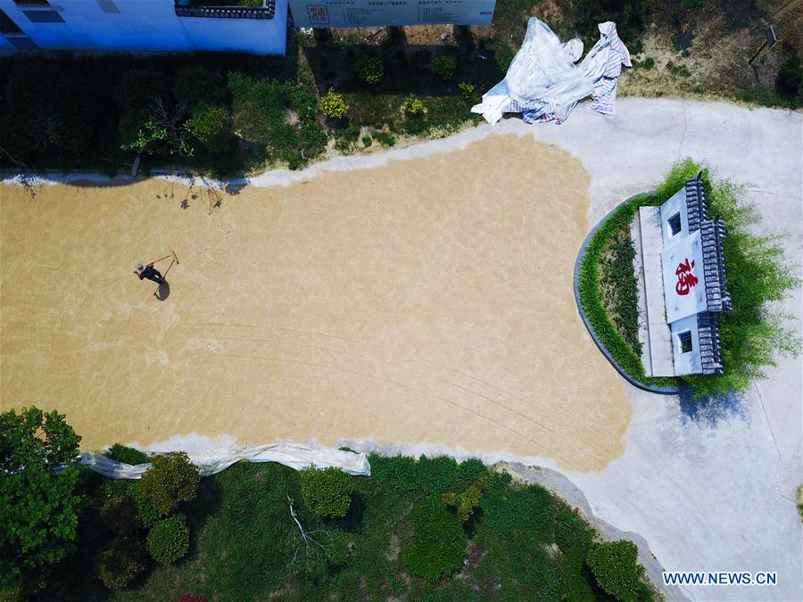 CHINA-JIANGSU-WHEAT HARVEST (CN)