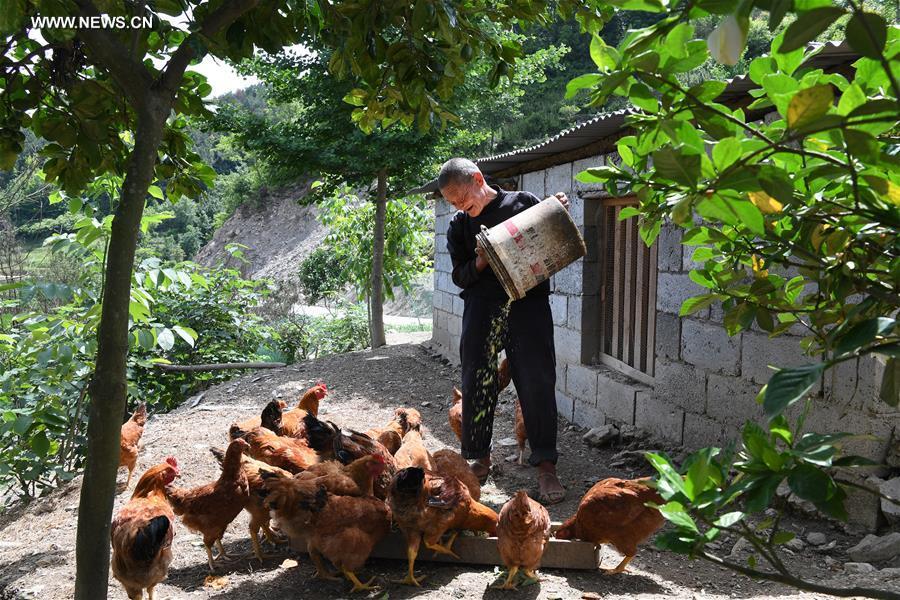 CHINA-SHAANXI-FATHER-LOVE (CN)