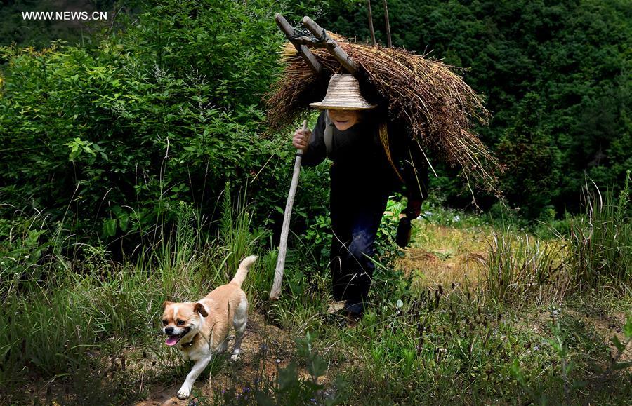 CHINA-SHAANXI-FATHER-LOVE (CN)