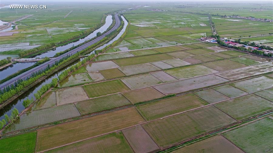 CHINA-YINCHUAN-YELLOW RIVER-ROAD (CN)