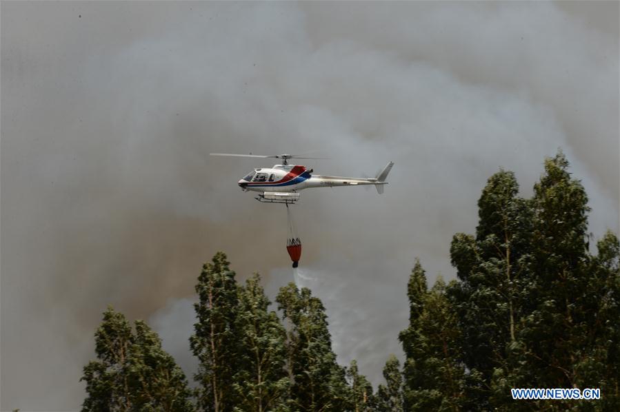 PORTUGAL-PEDROGAO GRANDE-FOREST FIRE