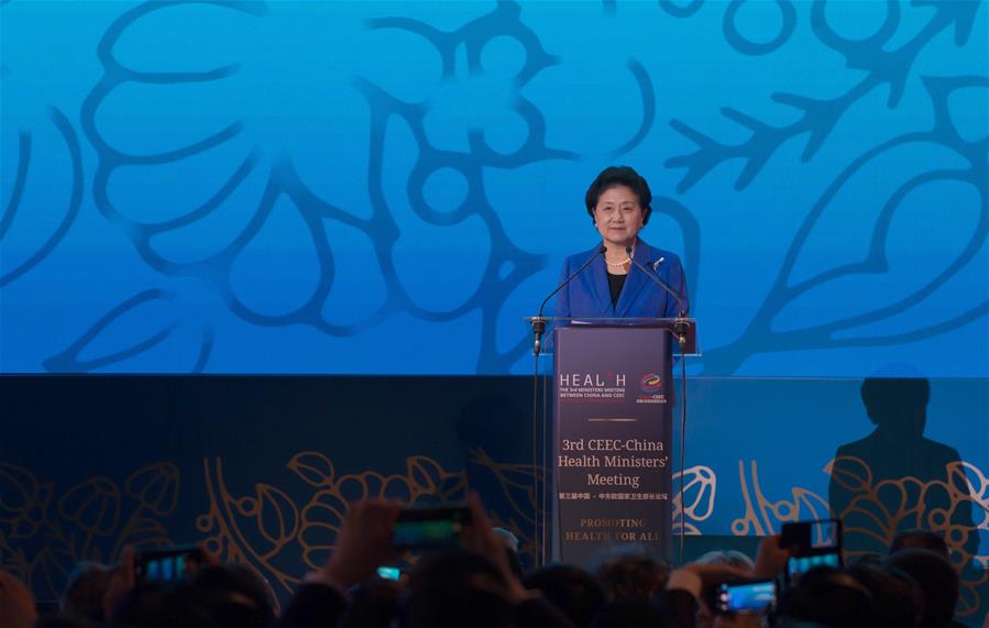 HUNGARY-BUDAPEST-CEEC-CHINA-FORUM-LIU YANDONG