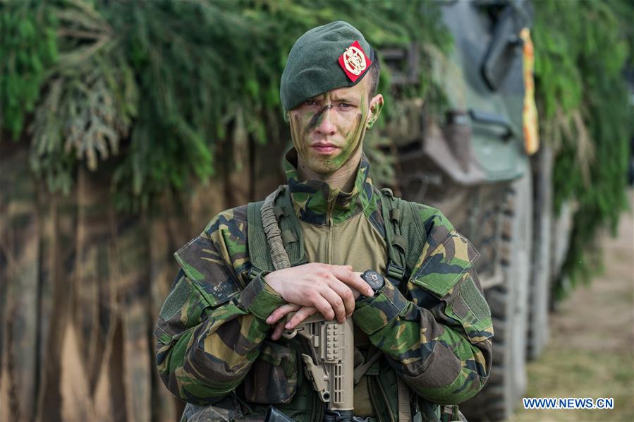 LITHUANIA-JONAVA DISTRICT-IRON WOLF 2017-MEDIA DAY