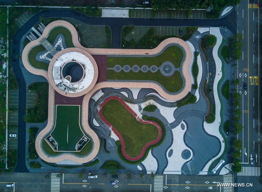 CHINA-WENZHOU-PINGYANG-PET INDUSTRY(CN)