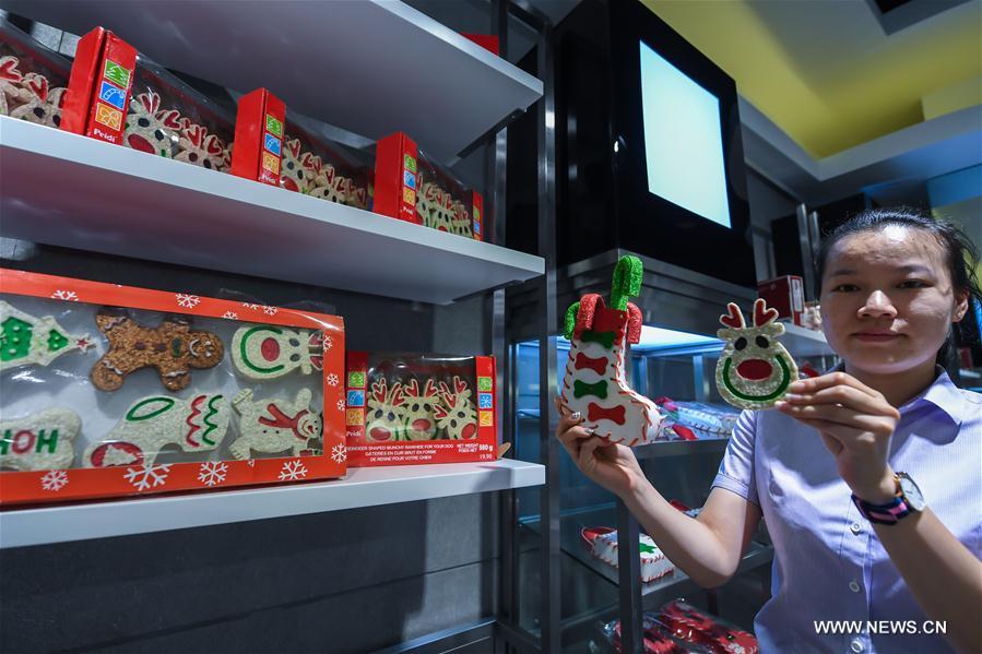CHINA-WENZHOU-PINGYANG-PET INDUSTRY(CN)