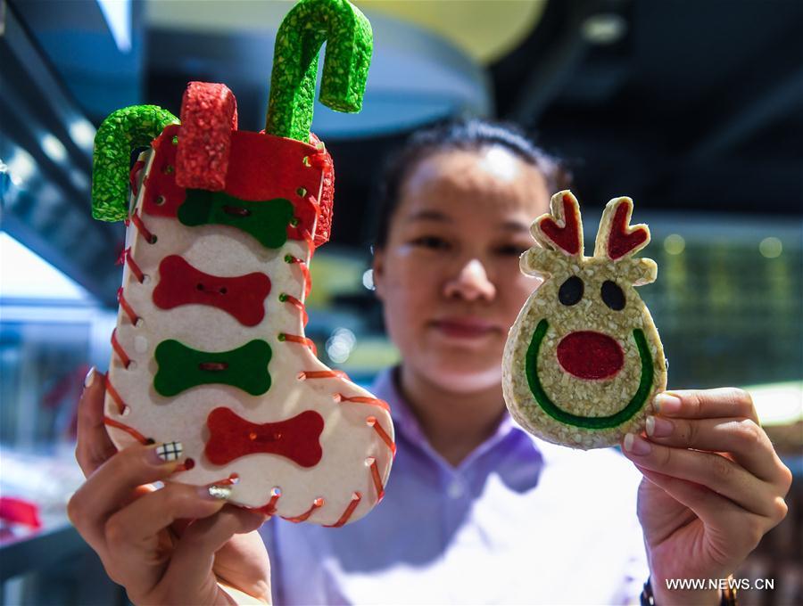 CHINA-WENZHOU-PINGYANG-PET INDUSTRY(CN)