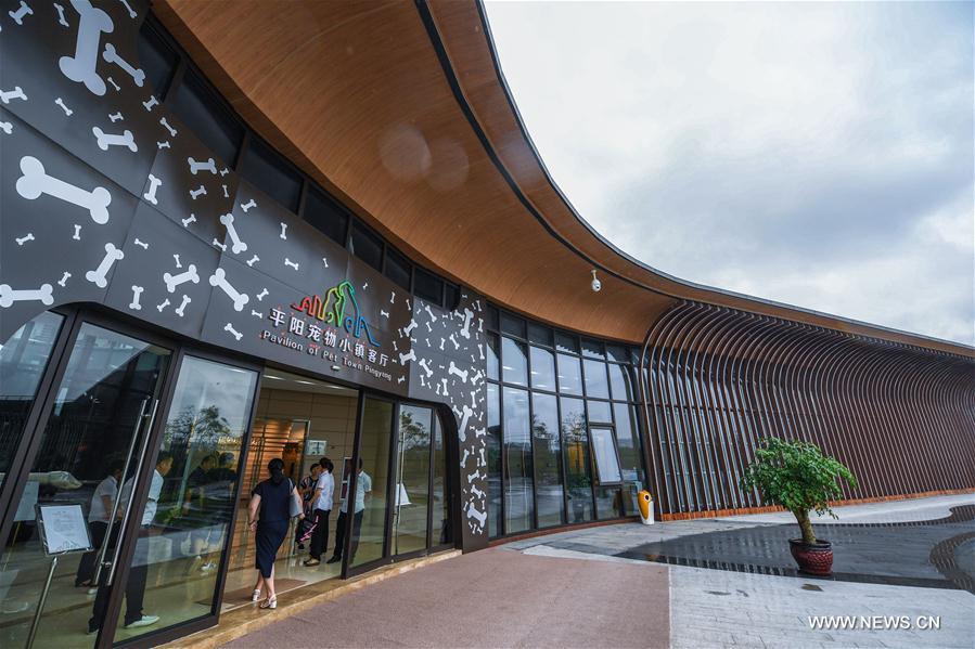 CHINA-WENZHOU-PINGYANG-PET INDUSTRY(CN)