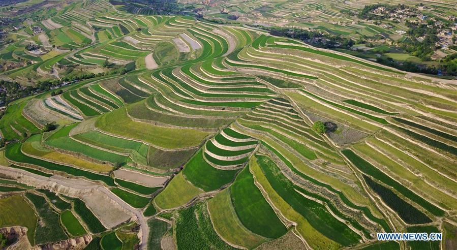 CHINA-GANSU-TERRACE (CN)