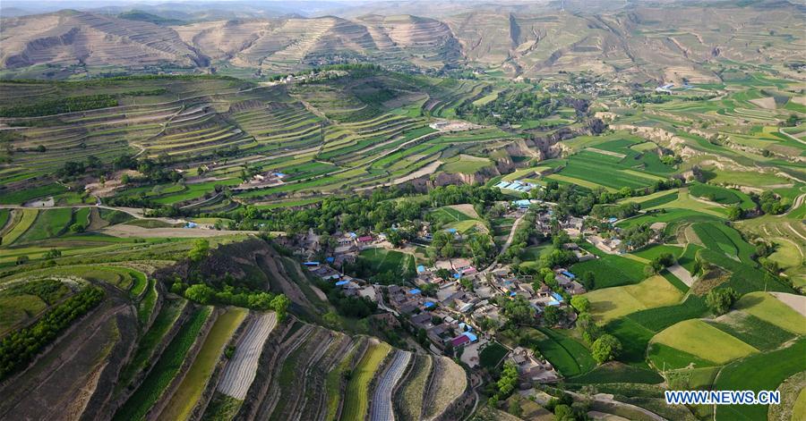 CHINA-GANSU-TERRACE (CN)