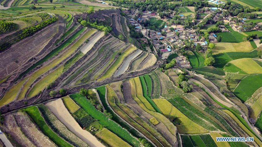 CHINA-GANSU-TERRACE (CN)