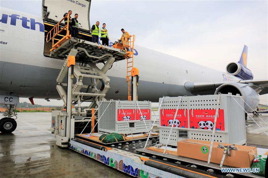 CHINA-CHENGDU-GERMANY-GIANT PANDAS (CN)
