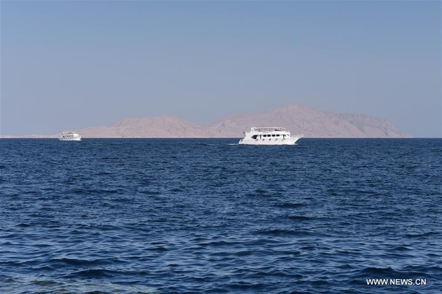 EGYPT-RED SEA ISLANDS-SAUDI ARABIA-HANDOVER-RATIFICATION