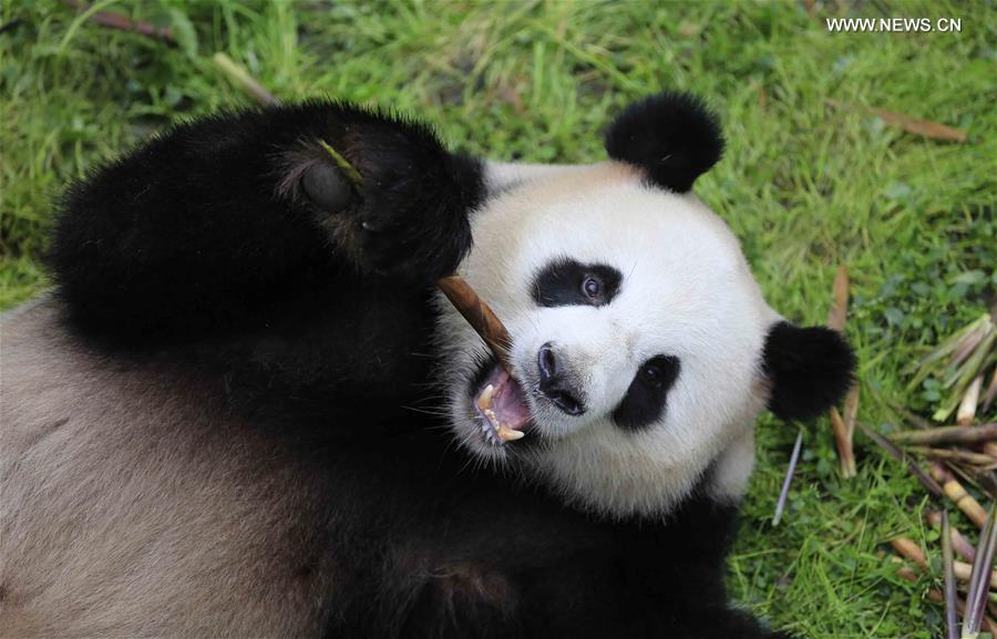 WEEKLY CHOICES OF XINHUA PHOTO