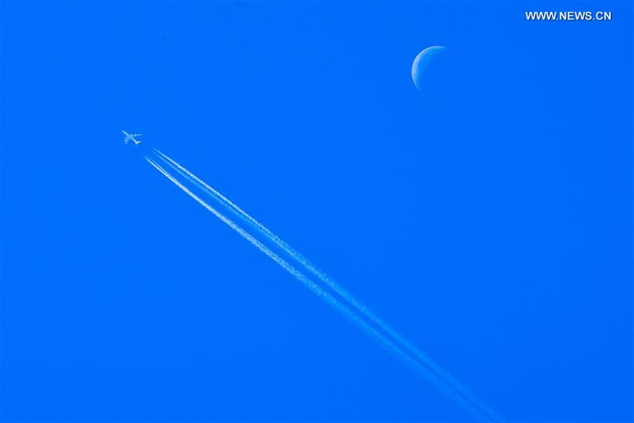 WEEKLY CHOICES OF XINHUA PHOTO