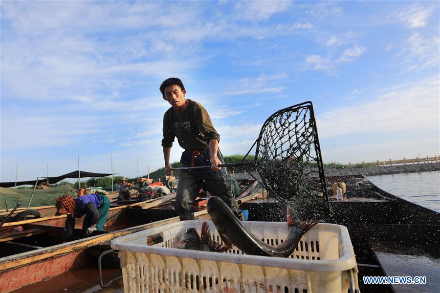 #CHINA-XINJIANG-BOSTAN LAKE-FISHING (CN)