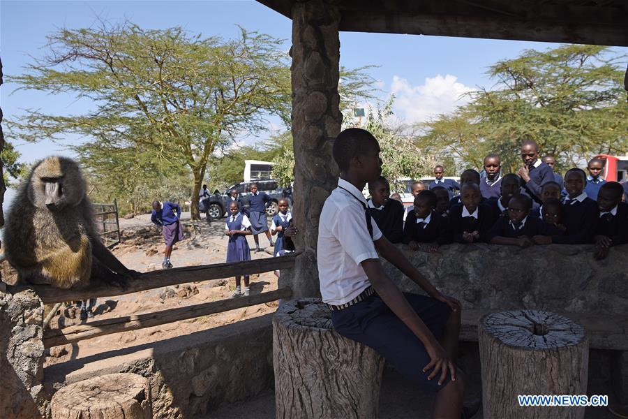KENYA-LAKE NAKURU-NATIONAL PARK
