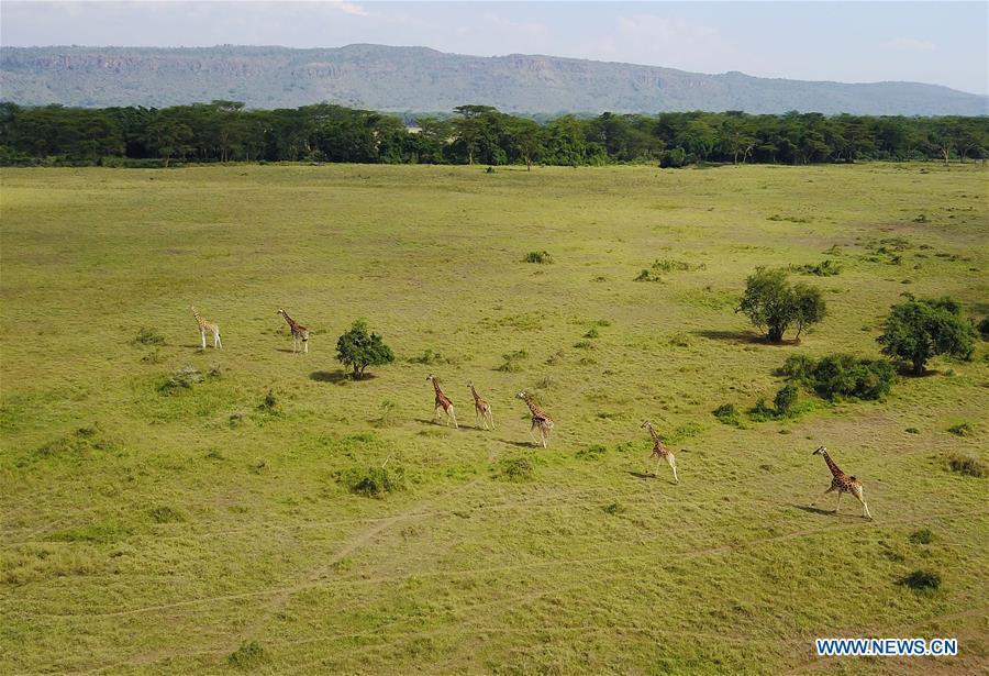 KENYA-LAKE NAKURU-NATIONAL PARK