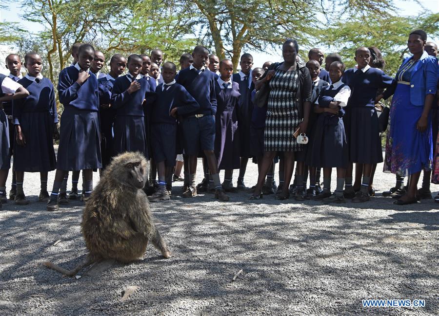 KENYA-LAKE NAKURU-NATIONAL PARK