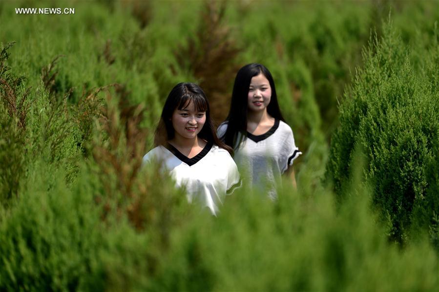 #CHINA-HEBEI-FARM-TOURISM (CN)