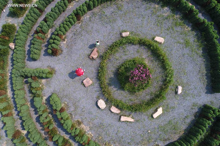 #CHINA-HEBEI-FARM-TOURISM (CN)