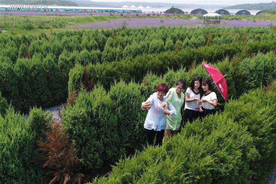 #CHINA-HEBEI-FARM-TOURISM (CN)