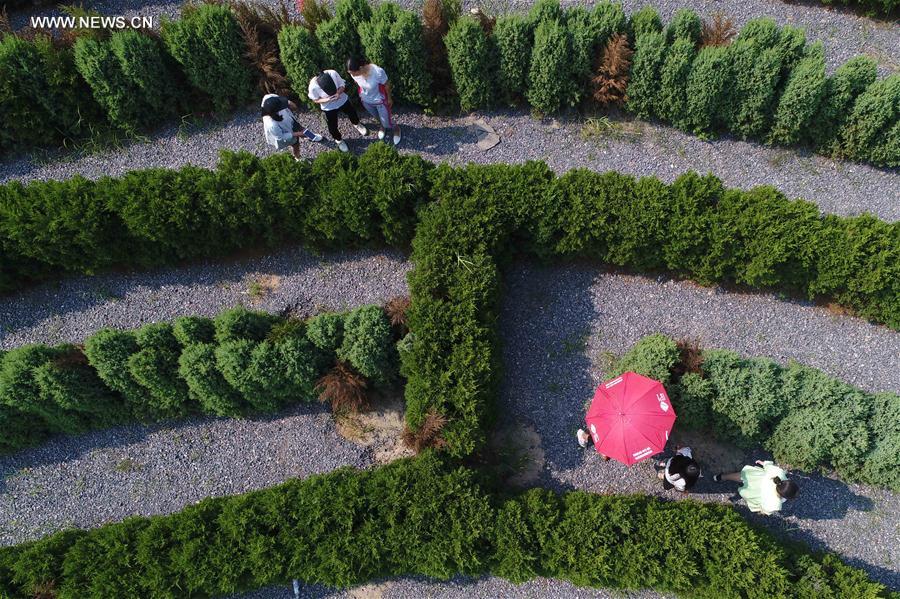 #CHINA-HEBEI-FARM-TOURISM (CN)