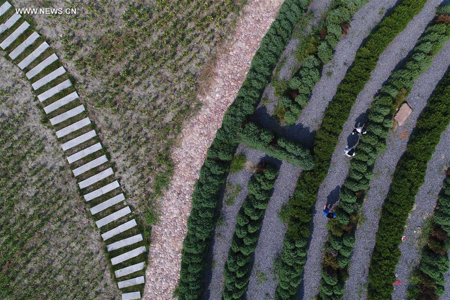 #CHINA-HEBEI-FARM-TOURISM (CN)