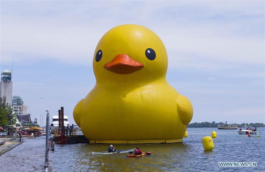CANADA-TORONTO-GIANT RUBBER DUCK
