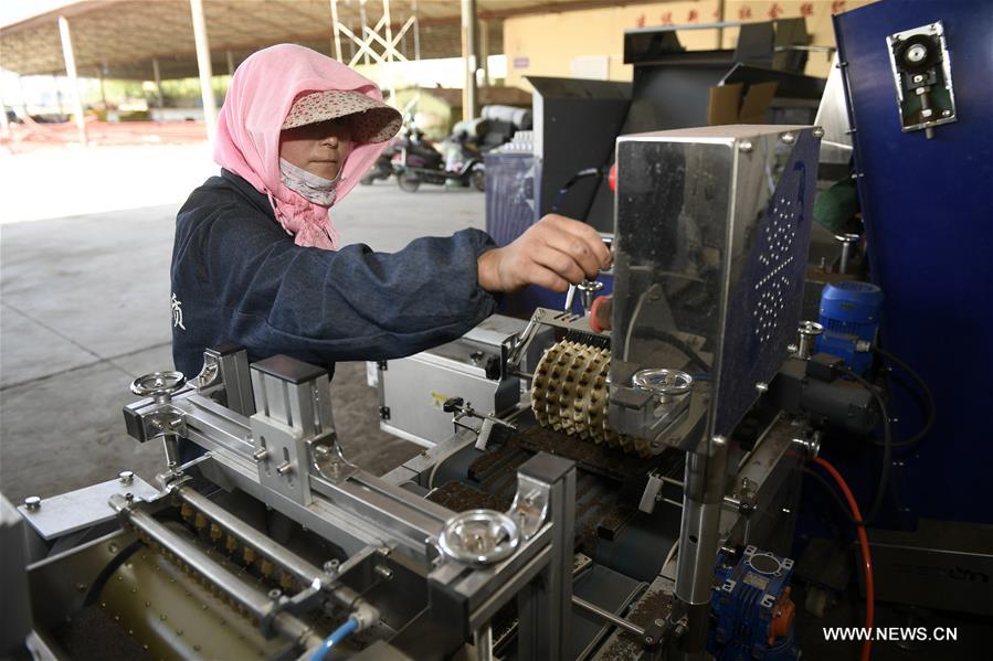 CHINA-NINGXIA-"COLD" VEGETABLE-POVERTY ALLEVIATION (CN)