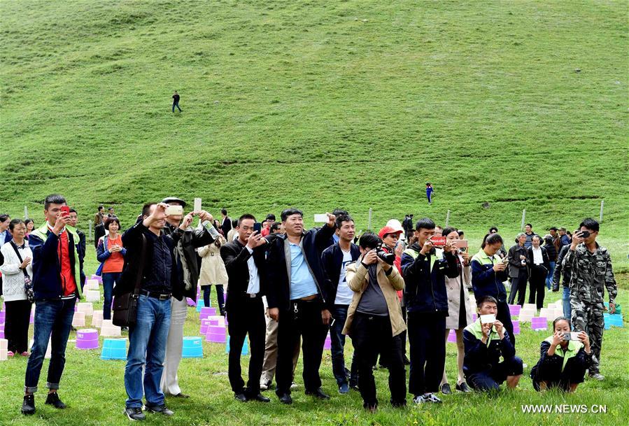 CHINA-YUNNAN-MEADOW (CN)