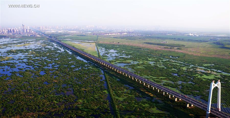 CHINA-HEILONGJIANG-DAQING-SCENERY (CN)
