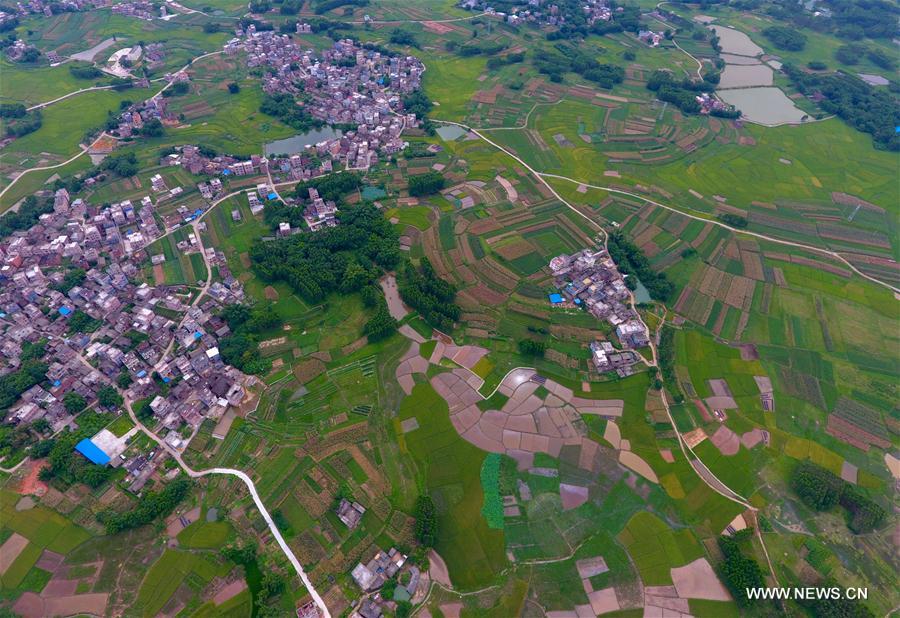 CHINA-GUANGXI-GUIGANG-RURAL SCENERY (CN)