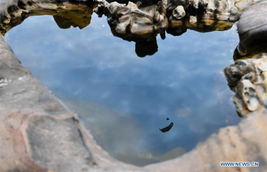 WEEKLY CHOICES OF XINHUA PHOTO