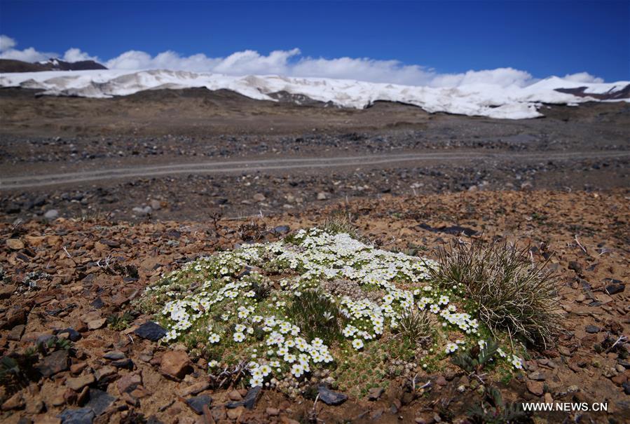 CHINA-NAGQU-PUROG KANGRI GLACIER (CN)