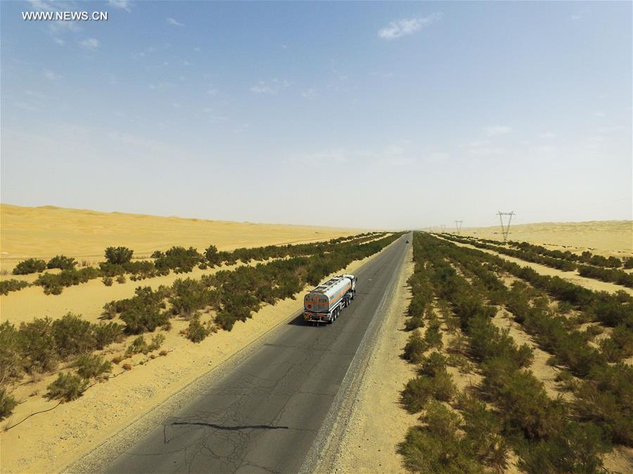 CHINA-XINJIANG-HIGHWAY-SHELTER FOREST(CN)